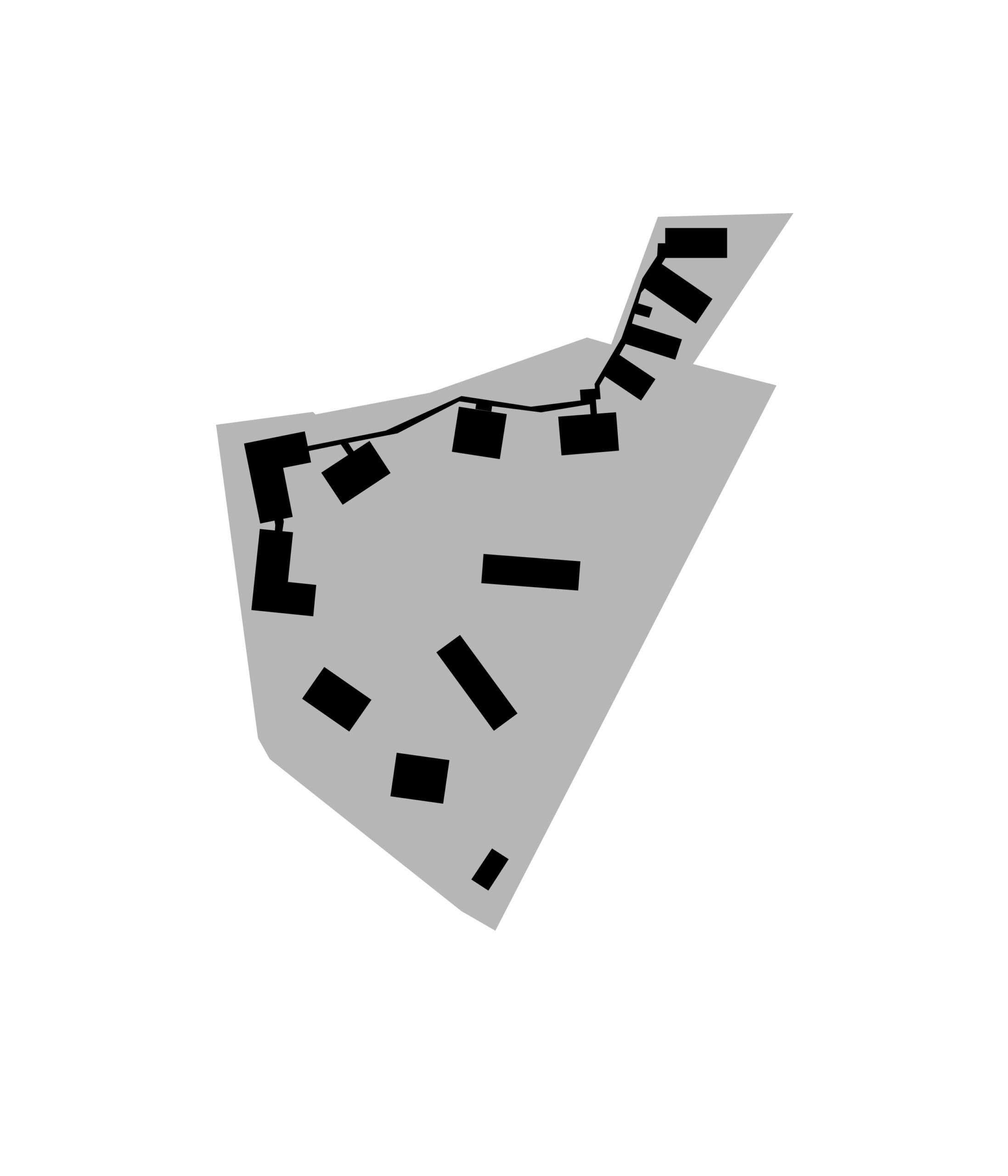 CHNP icon